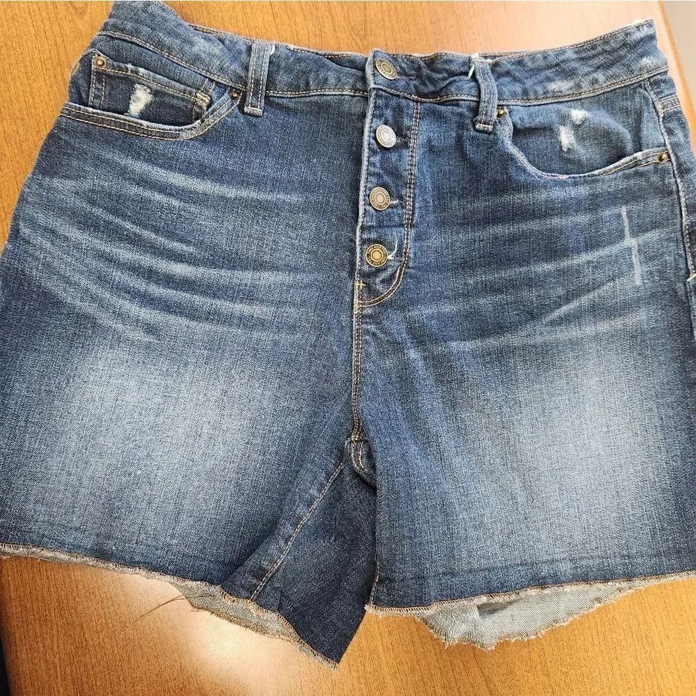 Time & Tru 14 high waisted denim jean shorts.